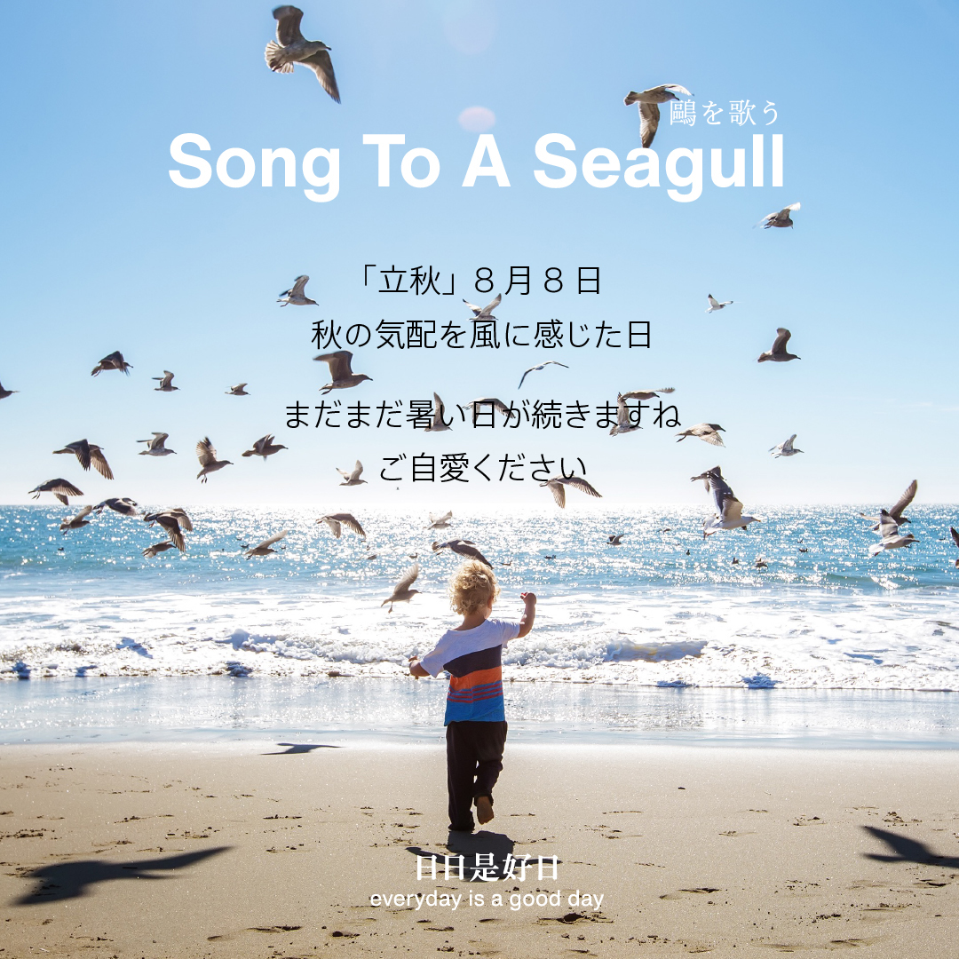 Song To Seagull